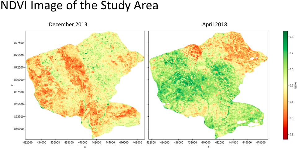 NDVI image of the study area