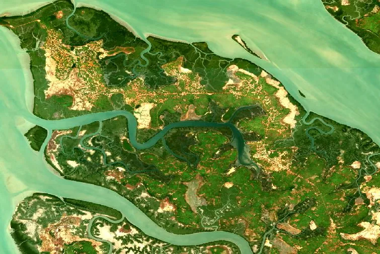Urbanisation