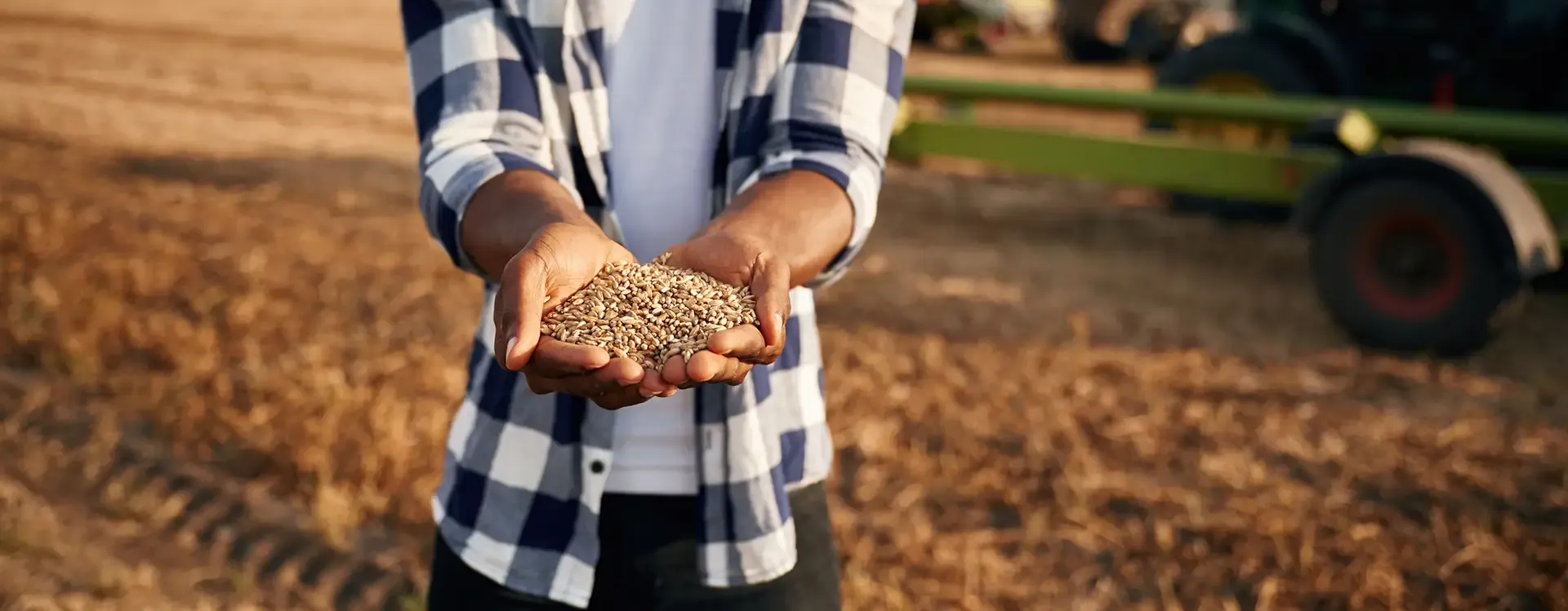 Agriculture and Food Security