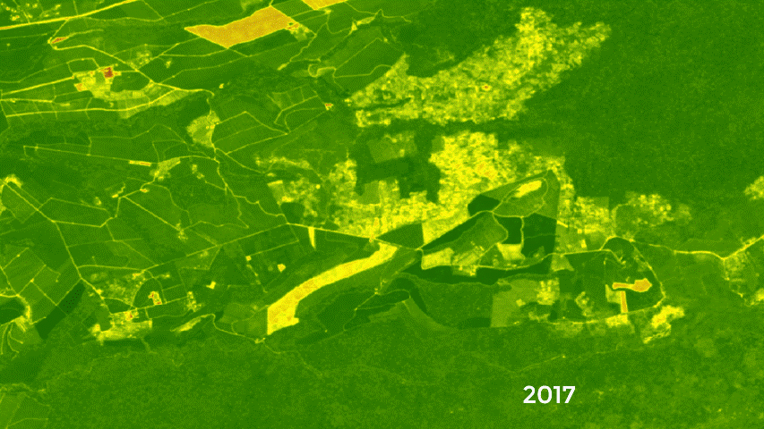 Climate Action and Reporting
